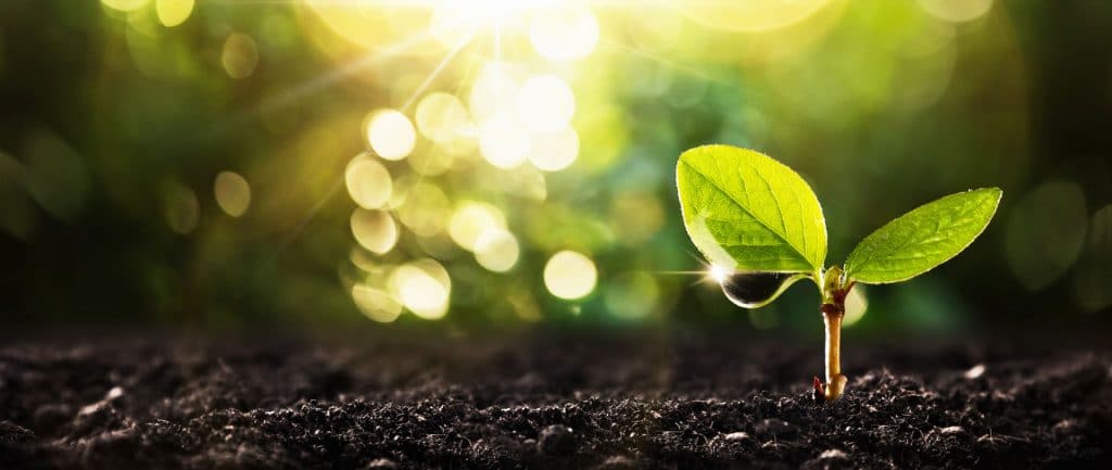 The sustainable logistics